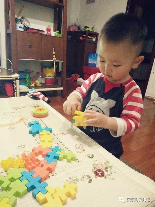 拼插類玩具哪家強(qiáng)之拔草專區(qū) 盤點(diǎn)李大榮不愛(ài)玩的那些拼插玩具